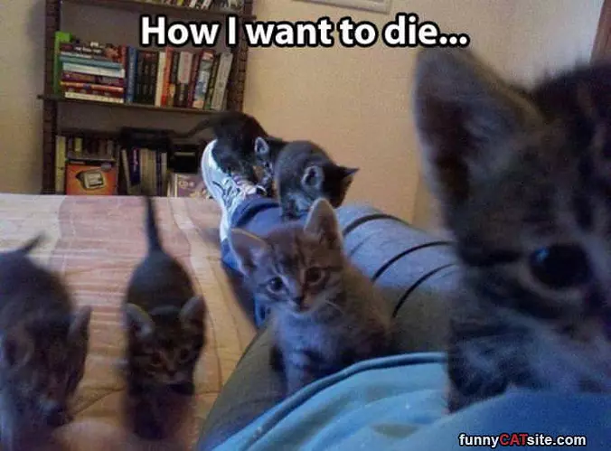 How I Want To Die