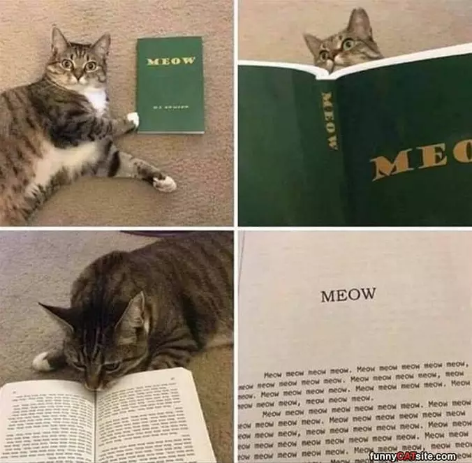 The Meow Book