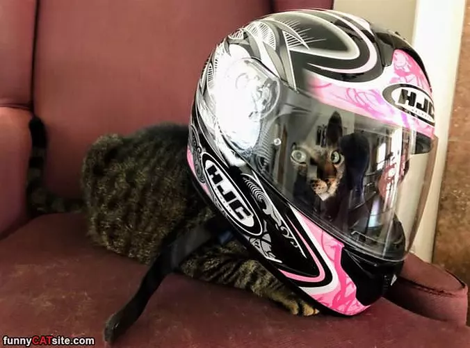 Ready For My Ride