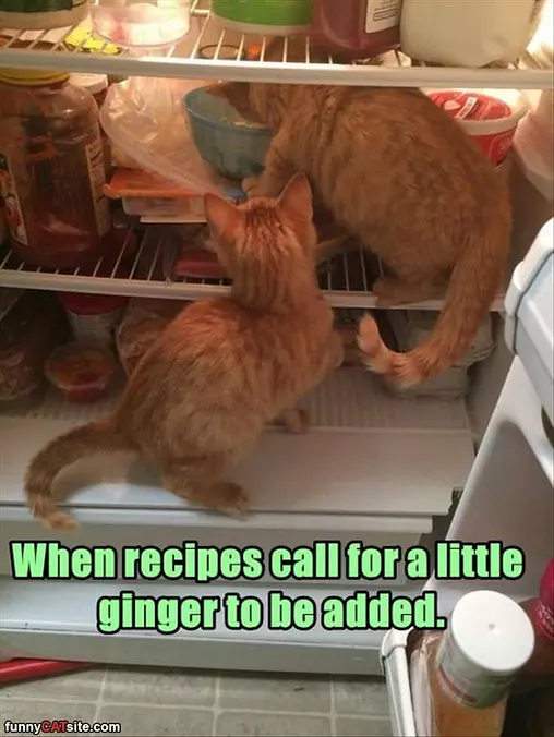 A Little Ginger To Be Added