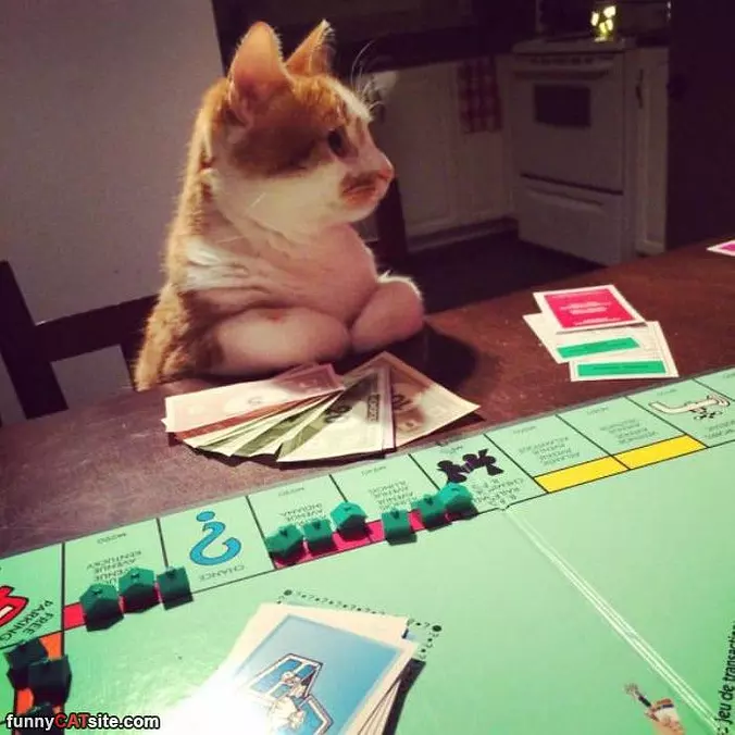 Playing Monopoly