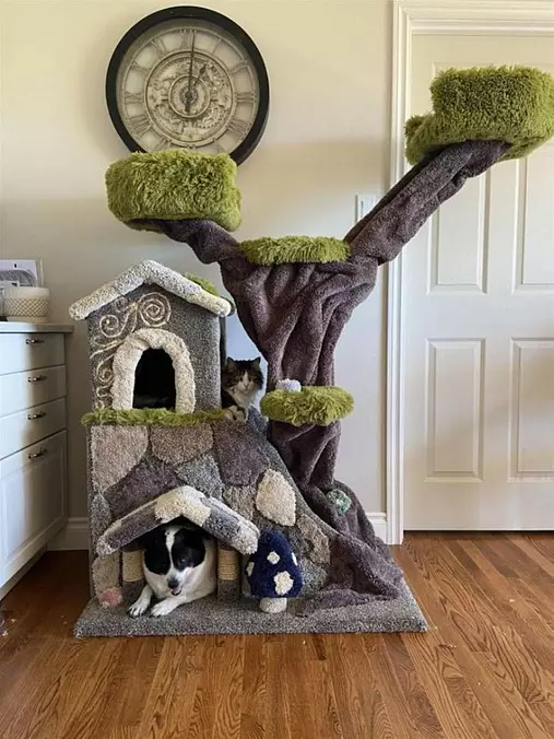 We Have A Fort