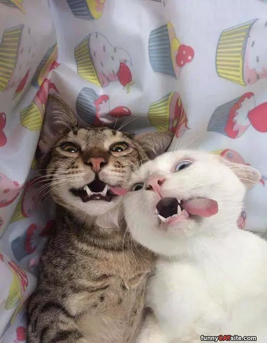 Heyyyyyo