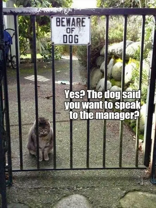 Speak To The Manager