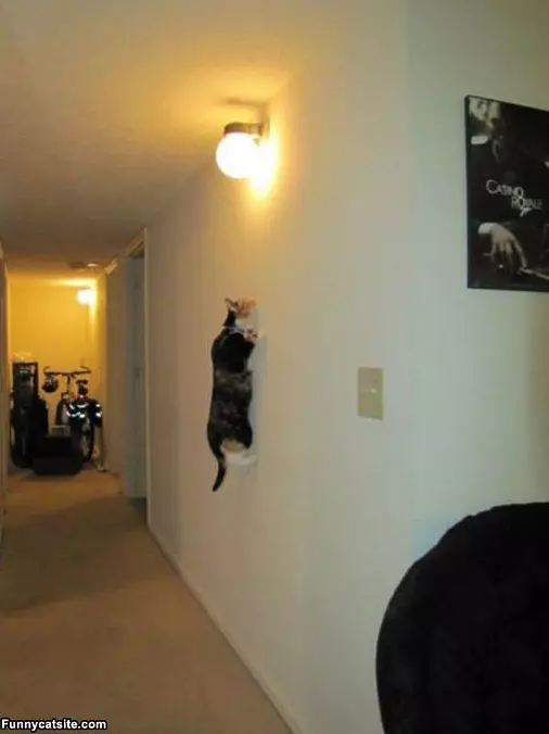 Climb The Wall