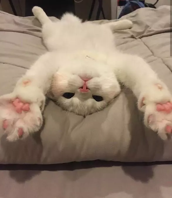 Laying On My Back Here