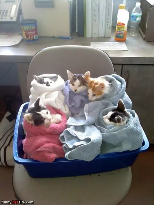 All Of Us Cuddled