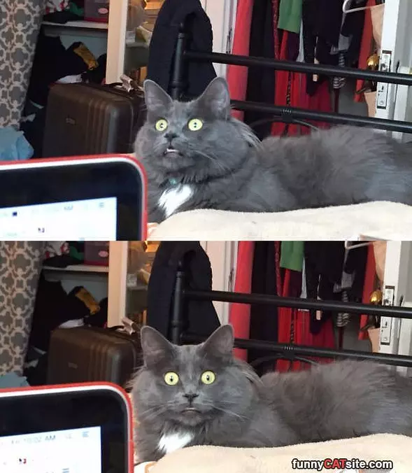 What Was That