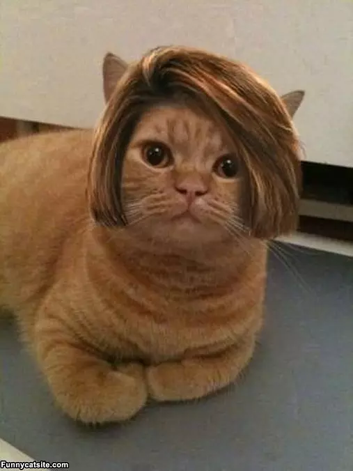 Like My Hair