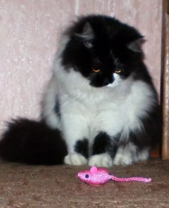 Pink Toys Make Me Sad