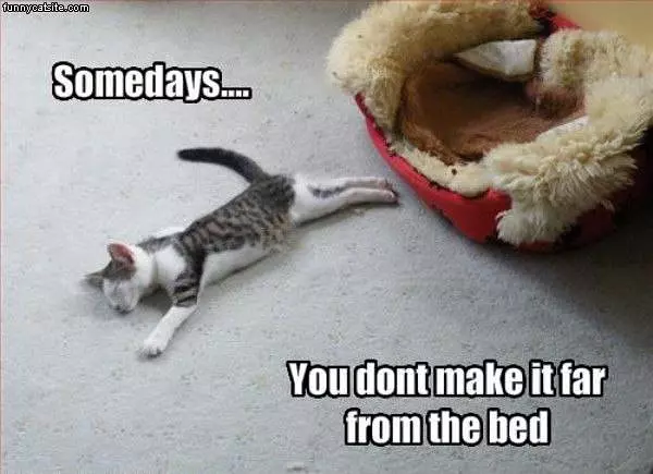 Somedays