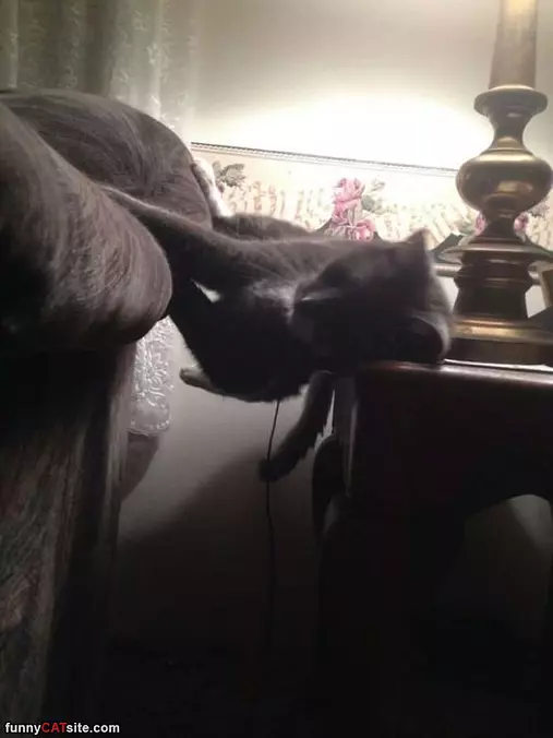 Sleeping Right Here