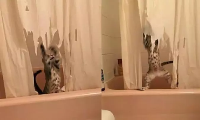 The Bath Is Mine Now