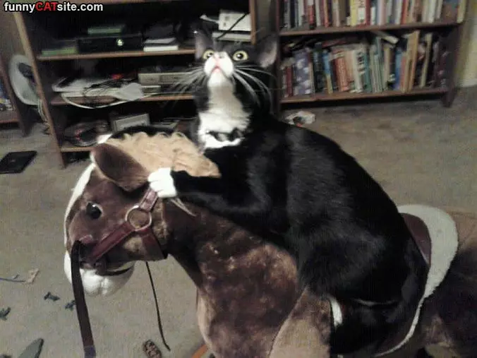 Riding My Horse