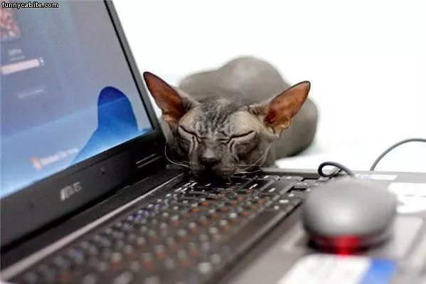 Comfy Laptop