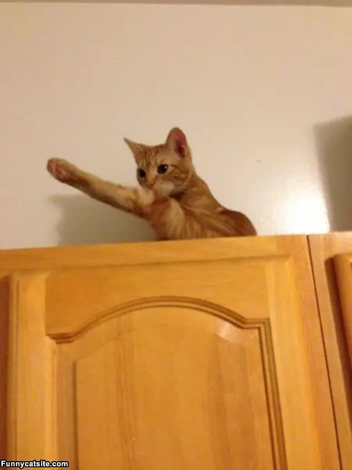 Huge Leg Stretch