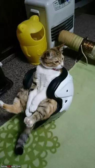 A Little Help Here Please