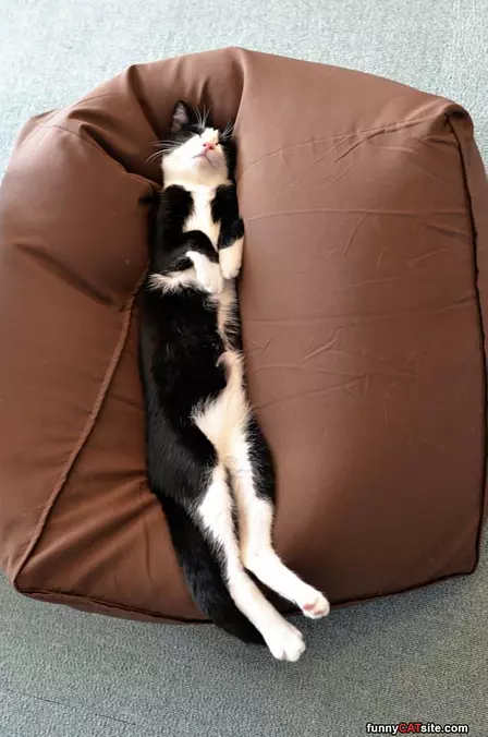 So Chill