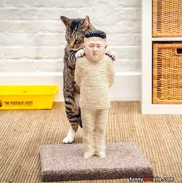 Him Jong Scratch Post