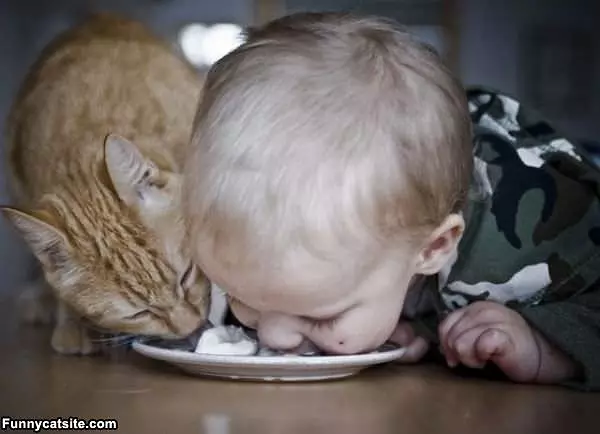 Sharing With Kitty