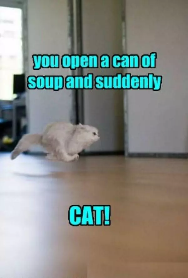 Open A Can Of Soup