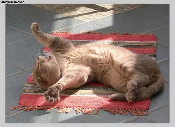 Mah Blanky