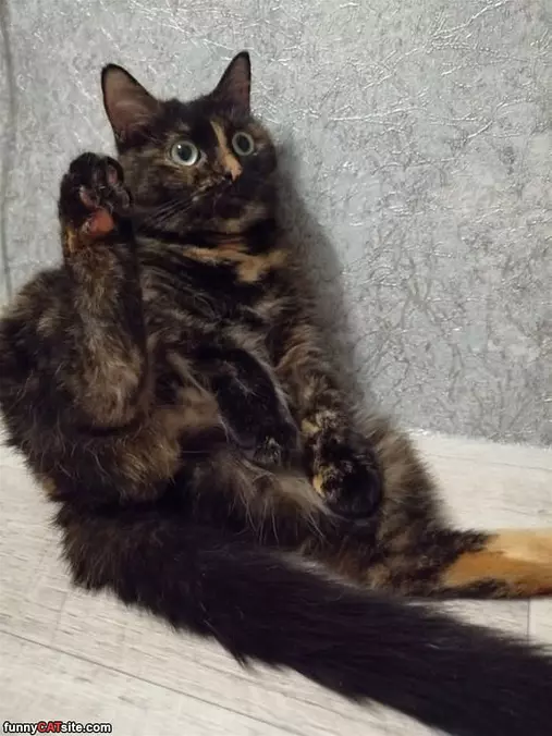 How I Do High 5s