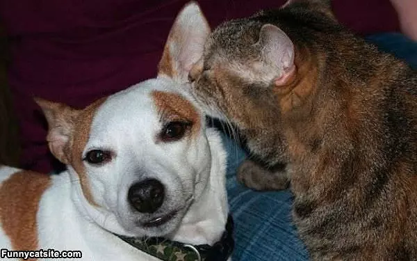 Telling A Secret