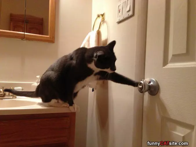 I Can Do This Without Thumbs