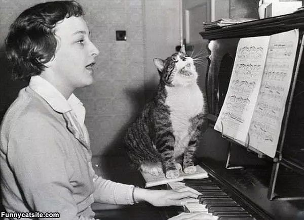 Singing Together