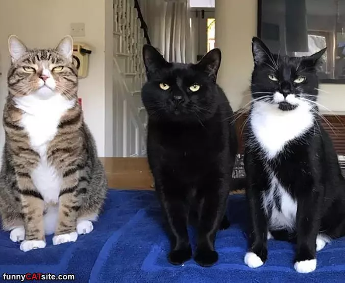 Not Impressed With You
