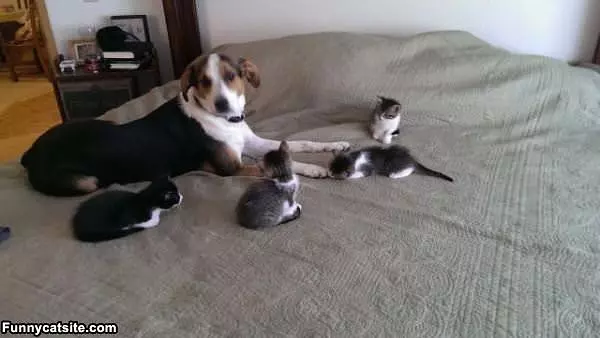 Having A Meeting