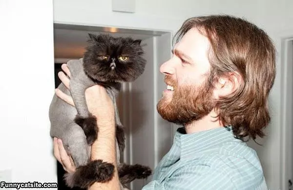 Shaved Kitty