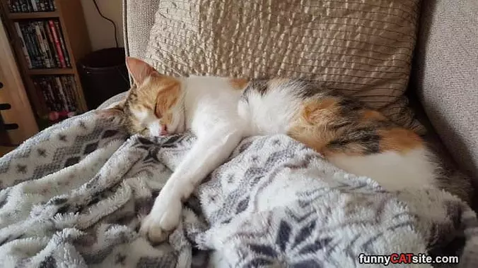 Relaxing With My Toy
