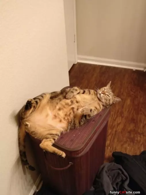 Going To Chill Right Here