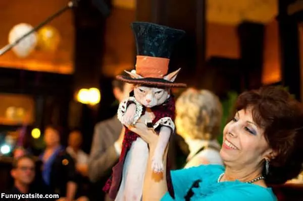 The Top Hat Cat