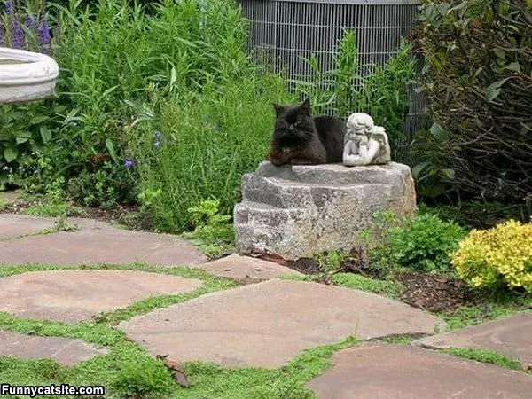 I Am A Statue