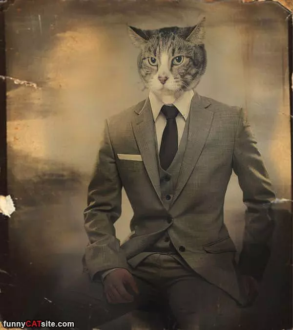 All Suited Uo