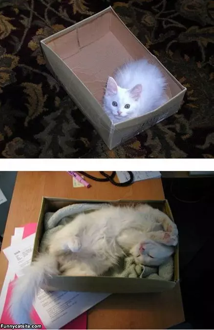 My Box