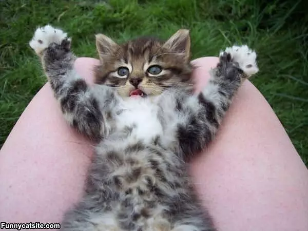 It Was This Big I Swear