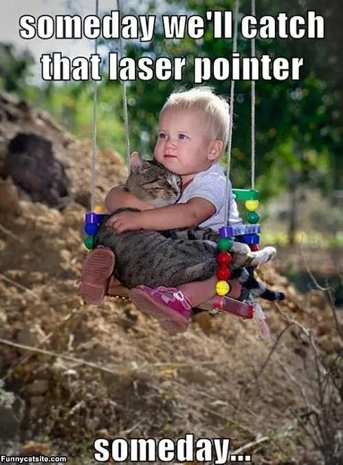 Someday Buddy