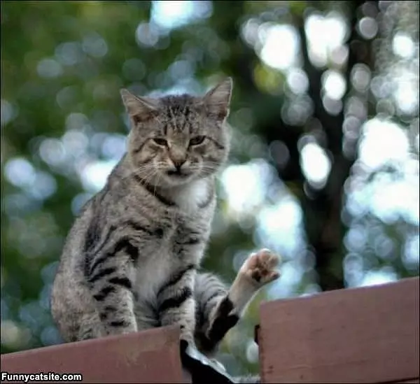 What Are You Looking At