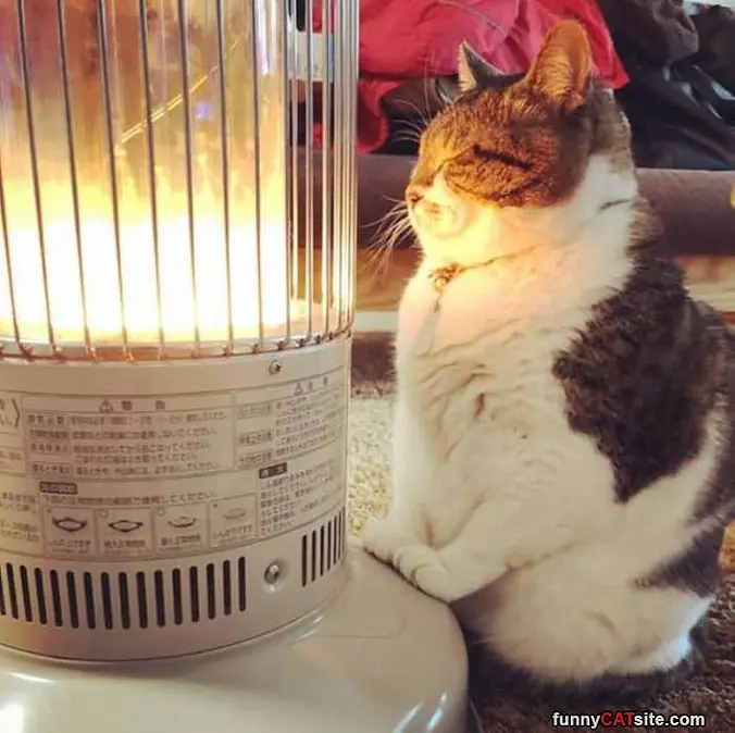 I Am So Warm Now