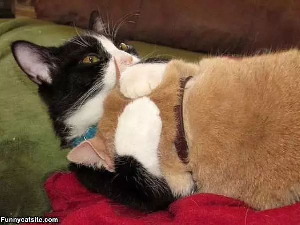 Lets Hug It Out