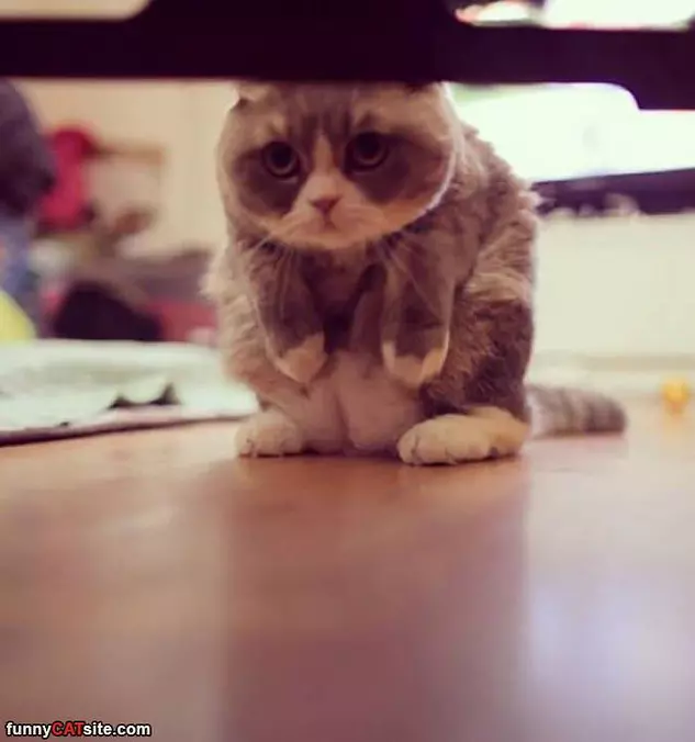 So What You Doin
