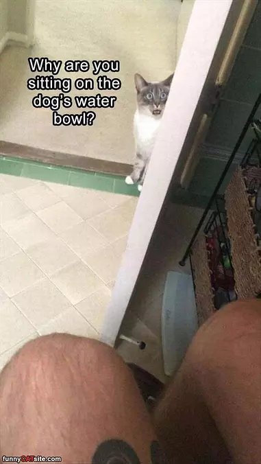 Why Are You Sitting There