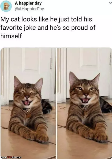 So Proud Of Himself