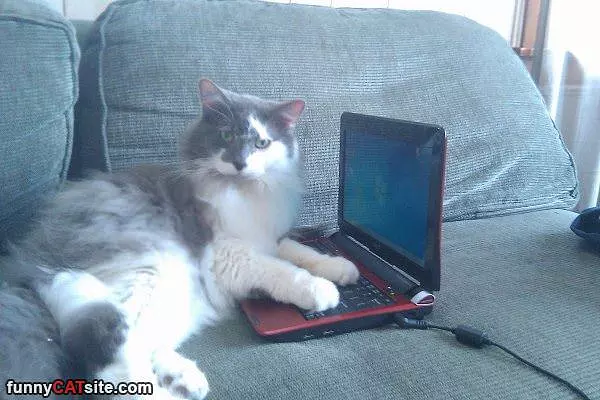 Getting Some Work Done