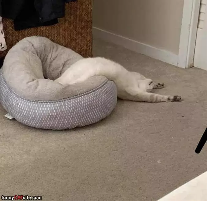 Soooo Tired