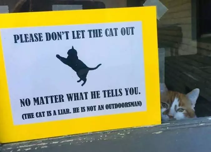 Do Not Let The Cat Out